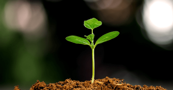 Programa Eco Invest Brasil encerra 2025 com R$ 14 bi em financiamentos