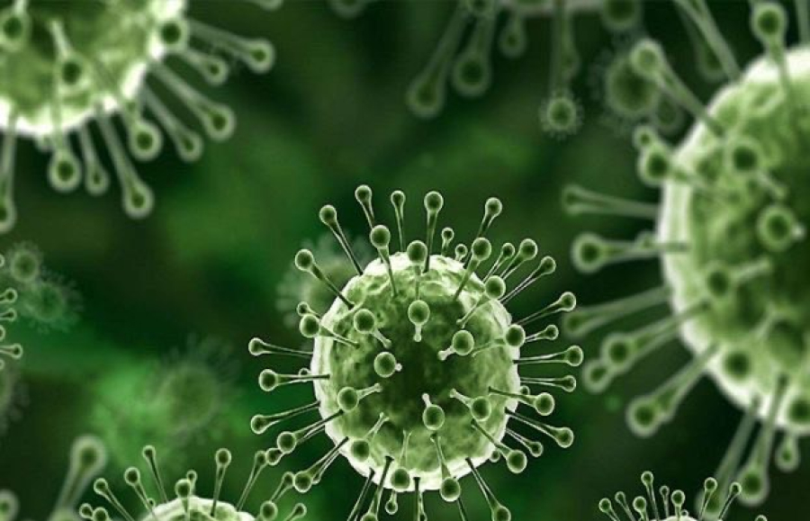 Vírus Nipah: um alerta global que ainda parece distante do Brasil, mas exige atenção