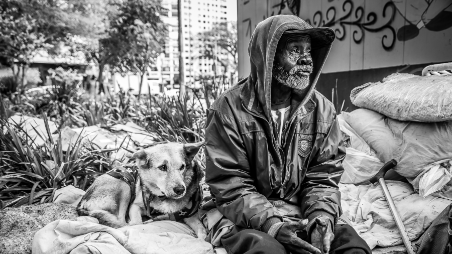 Entre abandono e afeto: iniciativas que estão mudando a vida de animais nas ruas do Brasil