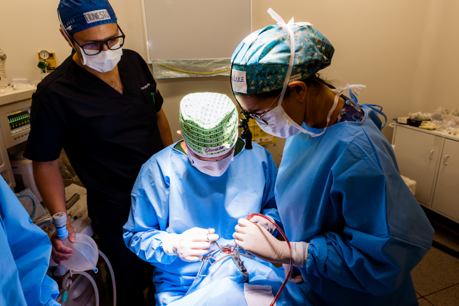 Triagem gratuita fortalece acesso ao tratamento de fissura labiopalatina