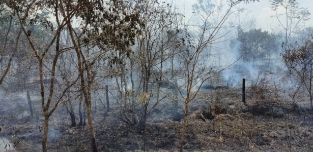 Secas mais longas e mudanças nas chuvas já ocorrem na Amazônia, apontam pesquisas