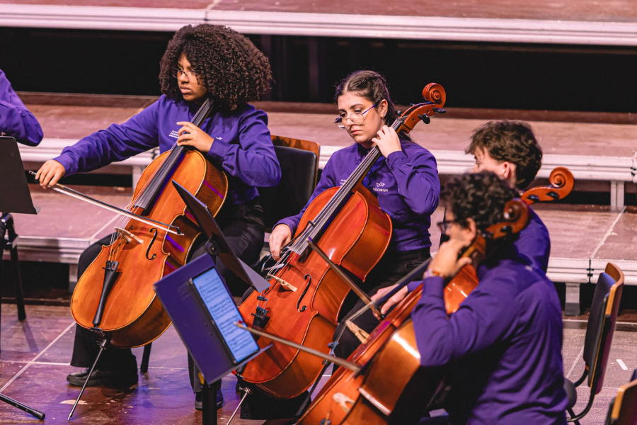 Camerata de Cordas Musicarium se apresenta gratuitamente em São Paulo com alunos que brilharam em turnê pela Europa