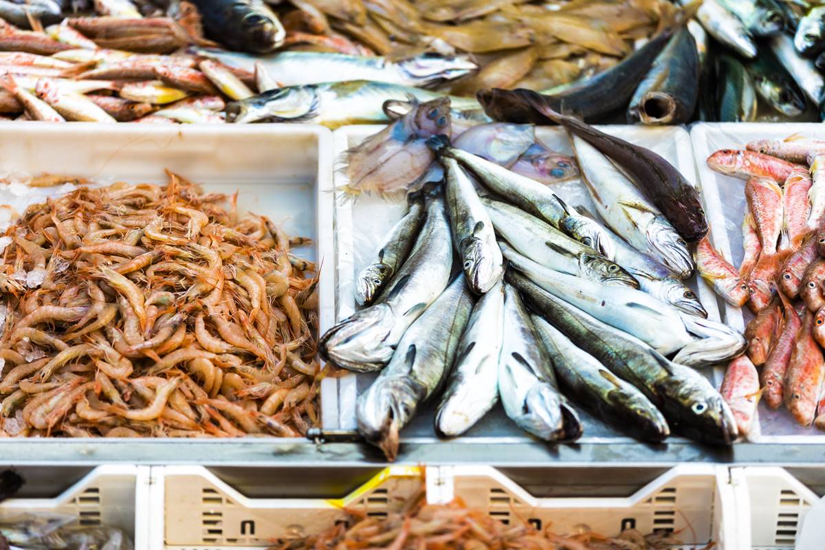 Natal (RN) faz alerta sobre risco de intoxicação por consumo de peixes