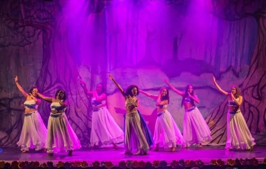 Quando o Coração Dança: A Jornada de uma Mulher que Transformou Sonhos em Abraços