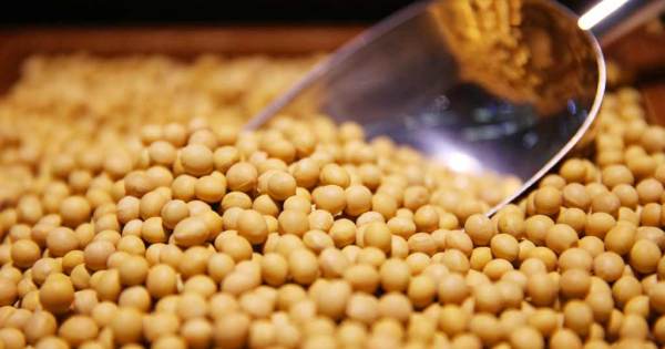 Preços da soja, milho e trigo disparam com expectativa de acordo entre China e EUA