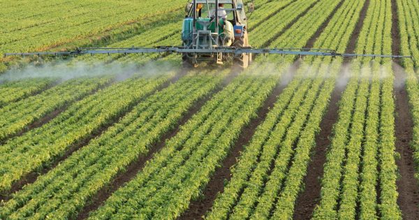 Pressão de pragas e doenças faz área tratada com defensivos crescer em 2025