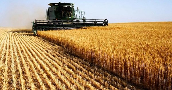 UE apresenta nova proposta de lei antidesmatamento e frustra produtores brasileiros, aponta Rabobank