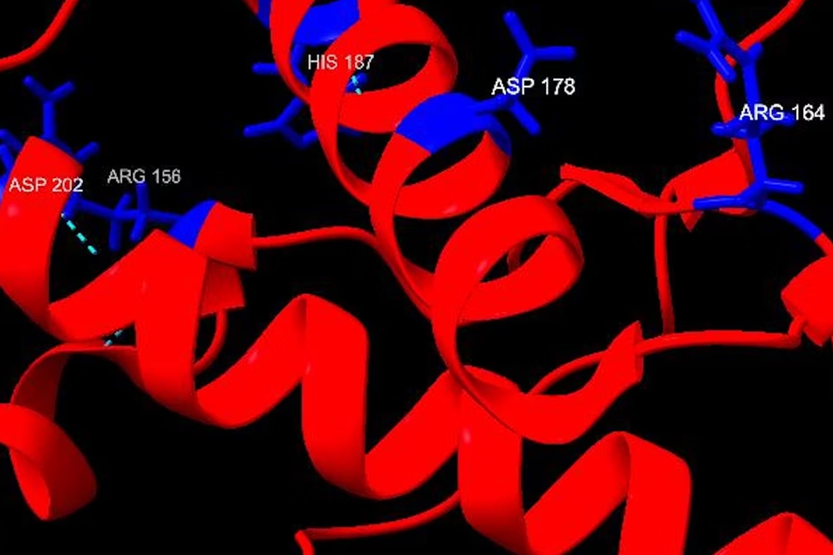 Doenças priônicas são raras, mas devastadoras
