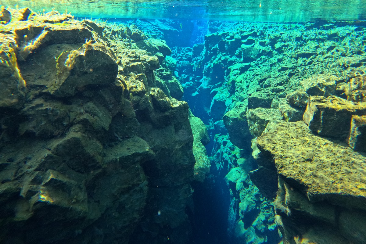 Cientistas detectam placas tectônicas se partindo no Oceano Pacífico