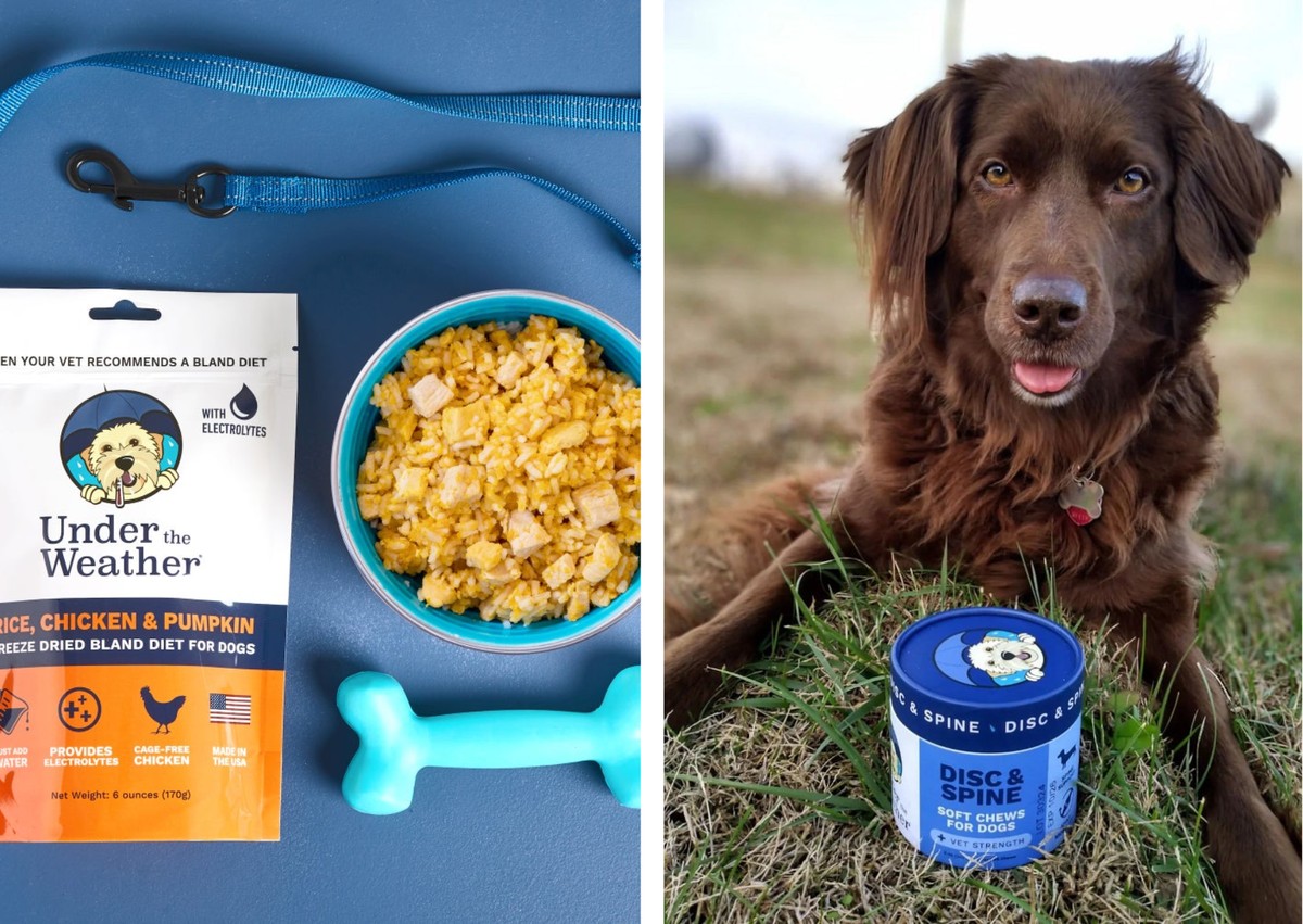 Empreendedora transforma renda extra em negócio de US$ 10 milhões ao cozinhar para seu cachorro doente